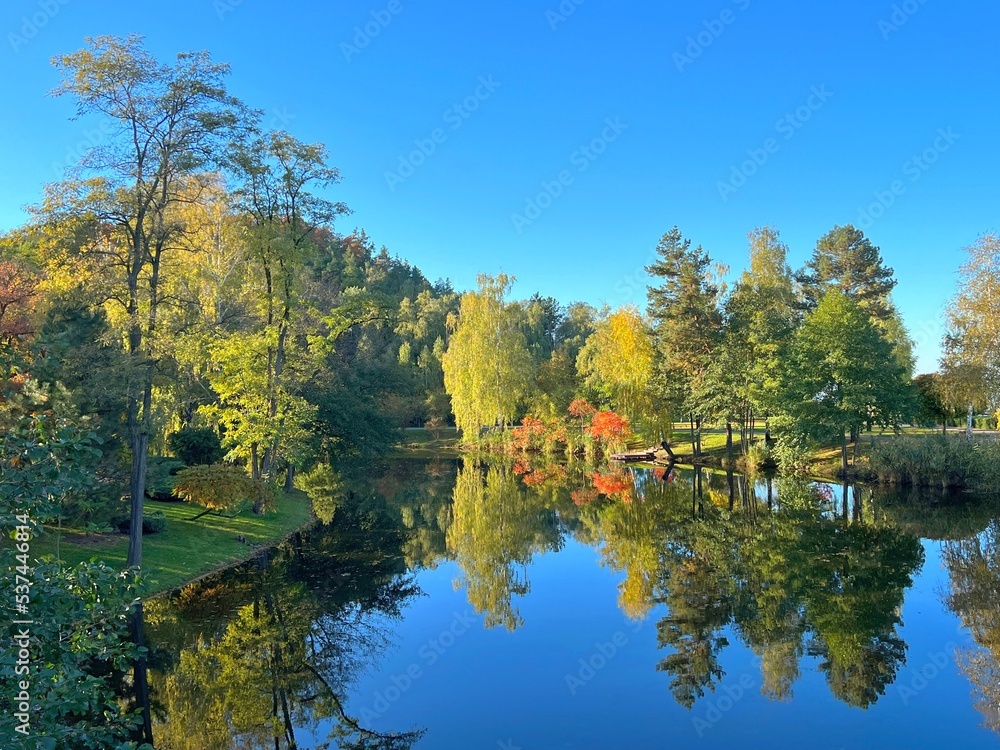 Autumn trees reflected in lake water at sunny day. Autumn trees reflected in lake water at sunny day.