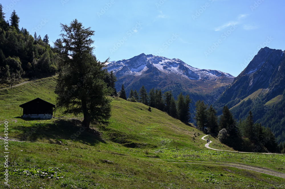 Paysage de montagne autour du col frontière du Châtelard en Suisse en été