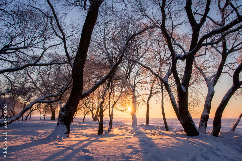 Landscape of winter sunrise in wood covered snow. Footprints in the white snow. View from park to frozen lake. Xmas days with cold weather, december.