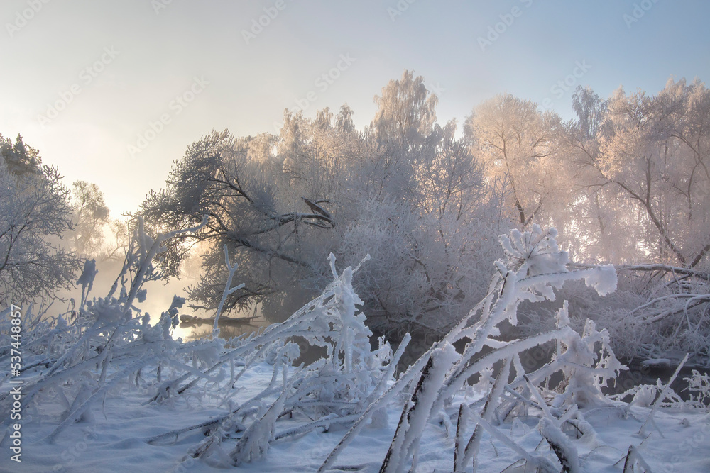 Scenery of winter river and trees in snow. Sunrise above river without ice, white branches of trees. Soft mist above river.
