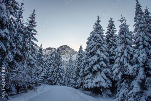 Obraz na płótnie Winter sunrise scenery in mountains Tatras. Covered snow turn of mountain road. Mountain road and fir forest covered white snow. w salonie