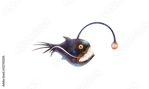 Deep-sea fish (angler fish) illustration