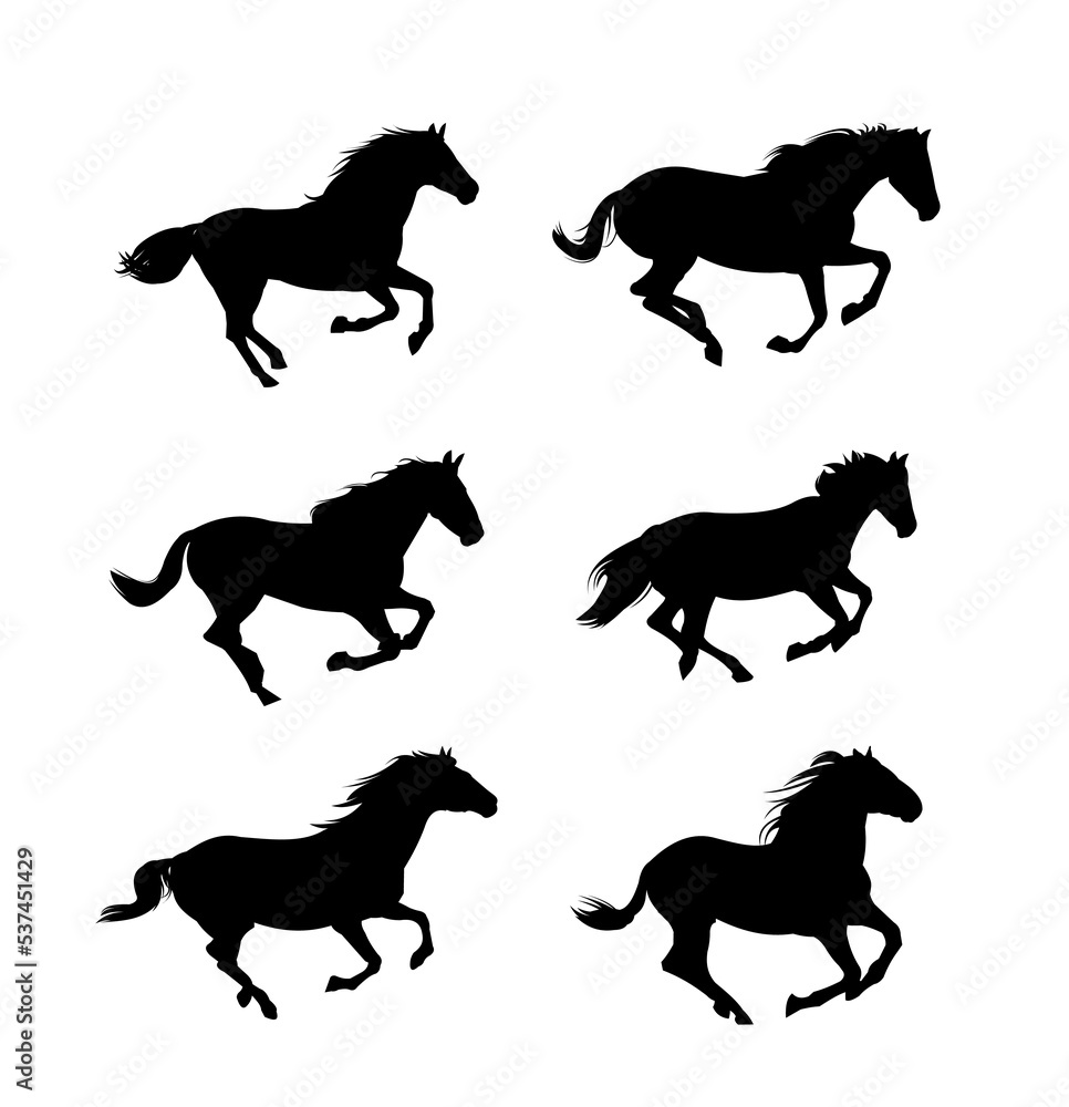 Herd of horses gallops fast. Set of objects. Image silhouette. Wild and domestic animals. Isolated on white background. Vector