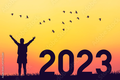 Woman raise hand up on sunset sky with birds flying at top of mountain and number 2023 abstract background. Happy new year and holiday concept.