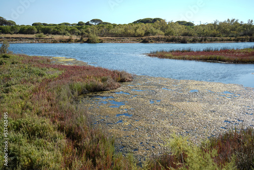 sweet water lagoon and meadows  at Strofylia national park in Greece   photo