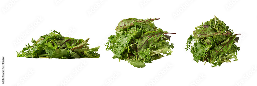 mixed fresh salad mixed fresh salad