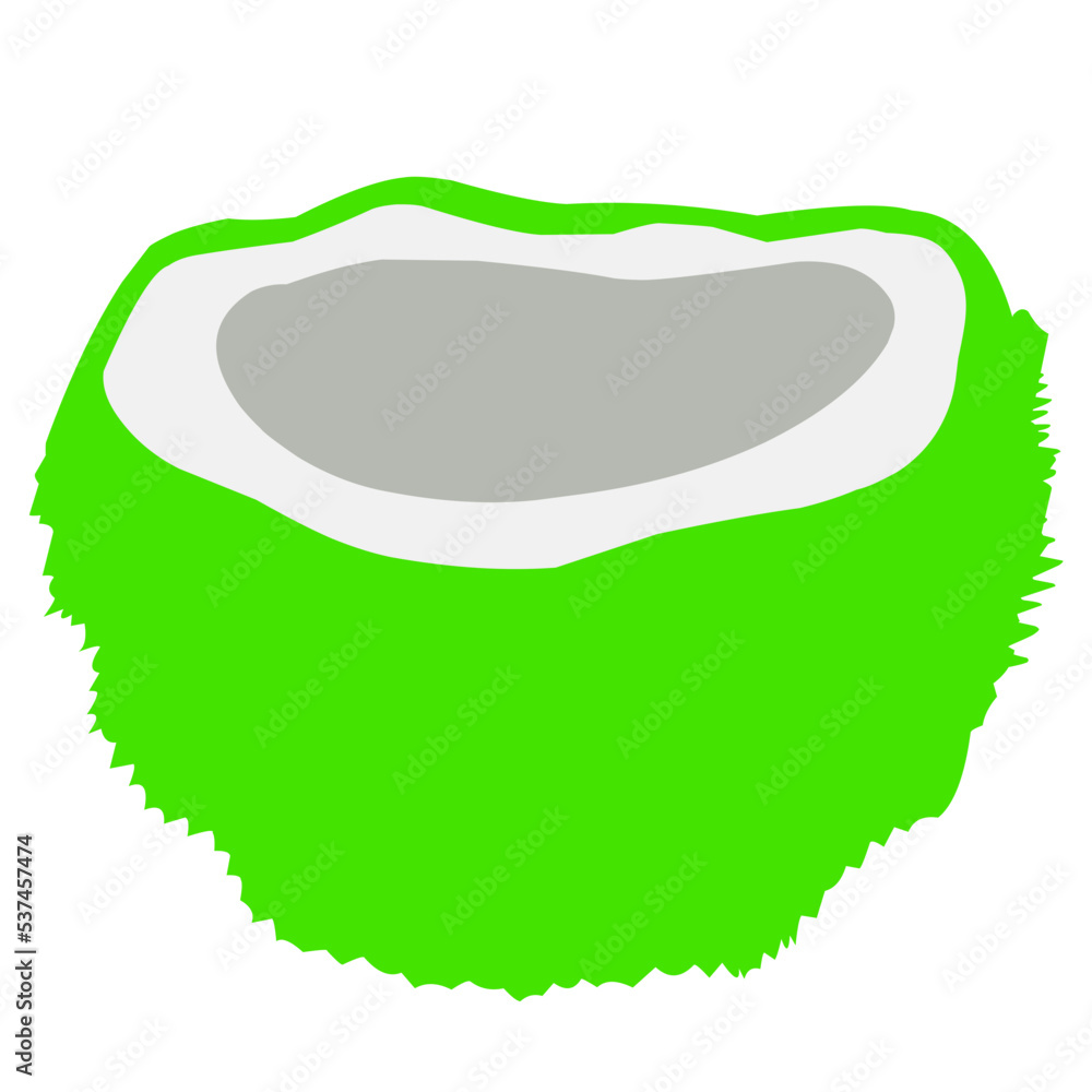 Fototapeta premium young green coconut