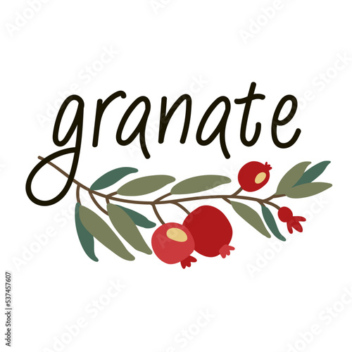 Pomegranate logo. Granate emblem. Vector garnet.