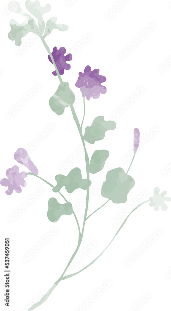 Watercolor wild flower illustration