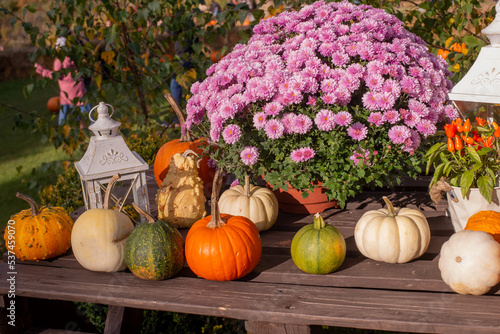 Autumn wooden table decorated with autumn flowers, and various colored vintage lantern pumpkins in the countryside on a sunny autumn day. Autumn mood. autumn holidays