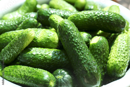 Many fresh ripe cucumbers in bowl  closeup