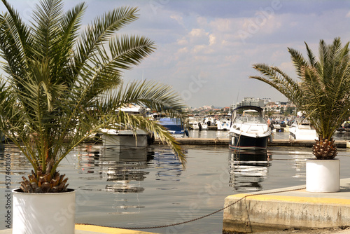 Beautiful view of city pier with moored boats and palms on sunny day
