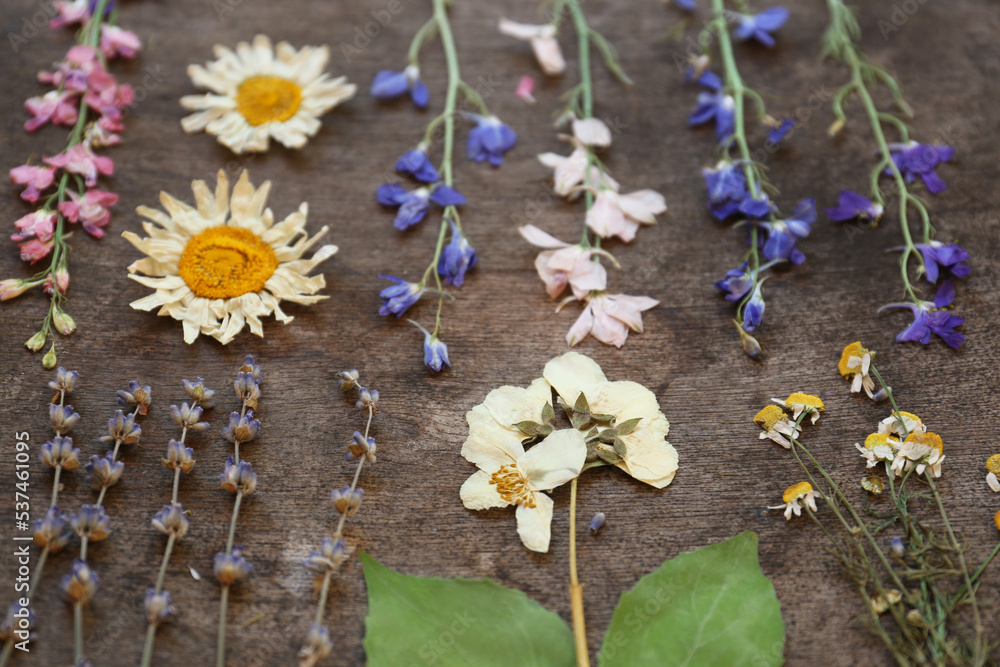 Many different beautiful dried flowers on wooden table