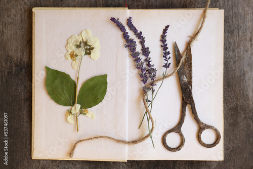 Open book with beautiful dried flowers, old scissors and twine on wooden table, top view