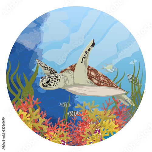 Round composition. Green sea turtle swims near the coral reef.  Realistic vector underwater landscape.