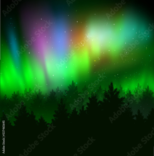 Winter landscape background with northern lights