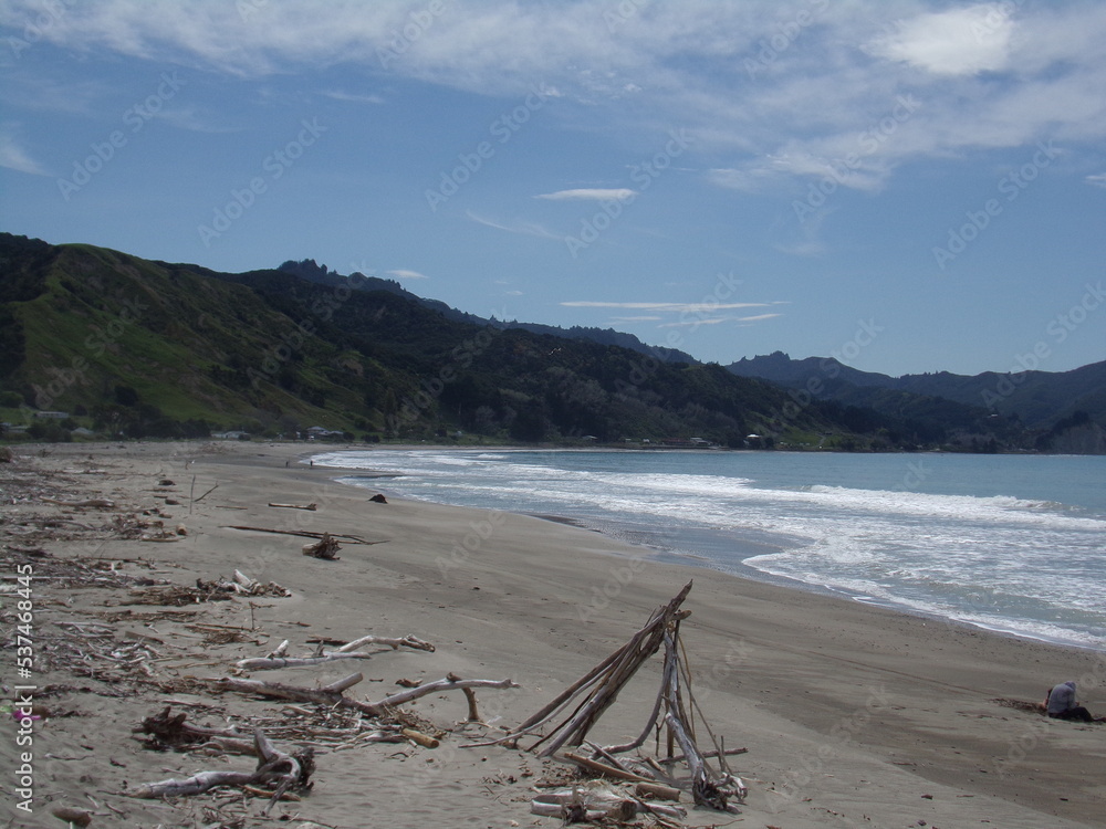 Scenic beach view in New Zealand