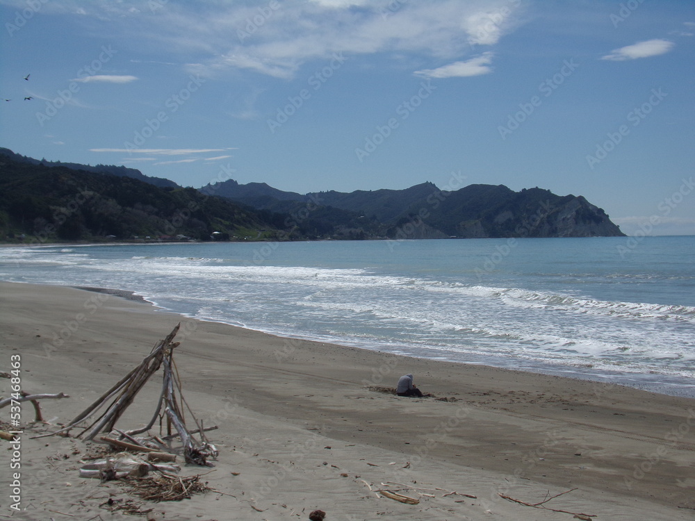 Scenic beach view in New Zealand Scenic beach view in New Zealand