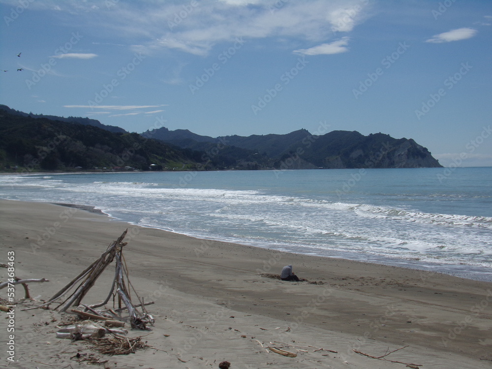 Scenic beach view in New Zealand