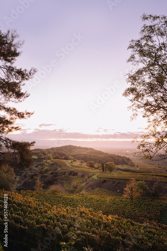 Sunset over wine country