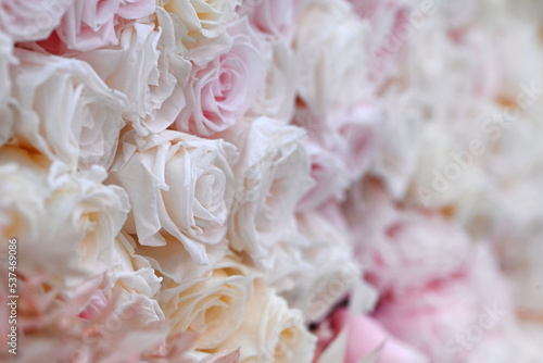 Fototapeta Naklejka Na Ścianę i Meble -  Pink and white roses in patterns as background.