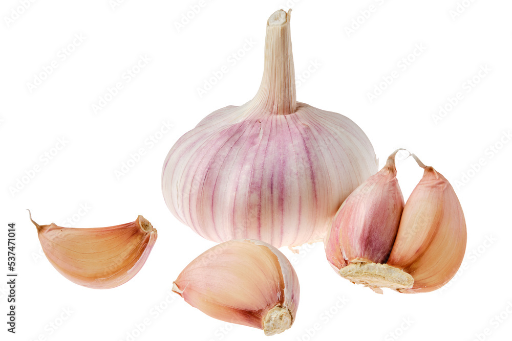Obraz premium Fresh garlic isolated on white