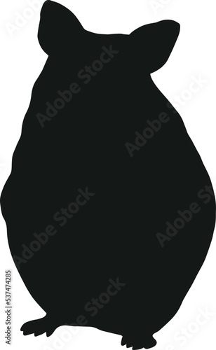 Hamster silhouette isolated on white background. Black hand drawn vector art of a pet. Simple vector illustration of an animal