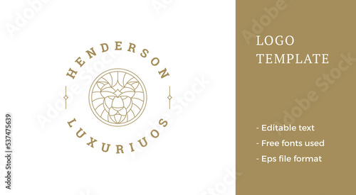 Simple vector illustration of elegant outline emblem template with geometric lion head line style
