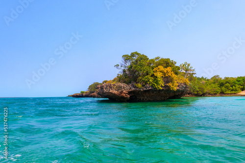 Fototapeta Naklejka Na Ścianę i Meble -  Mangroves in the lagoon of Kwale island. This is a small islet in the south of Zanzibar, Tanzania