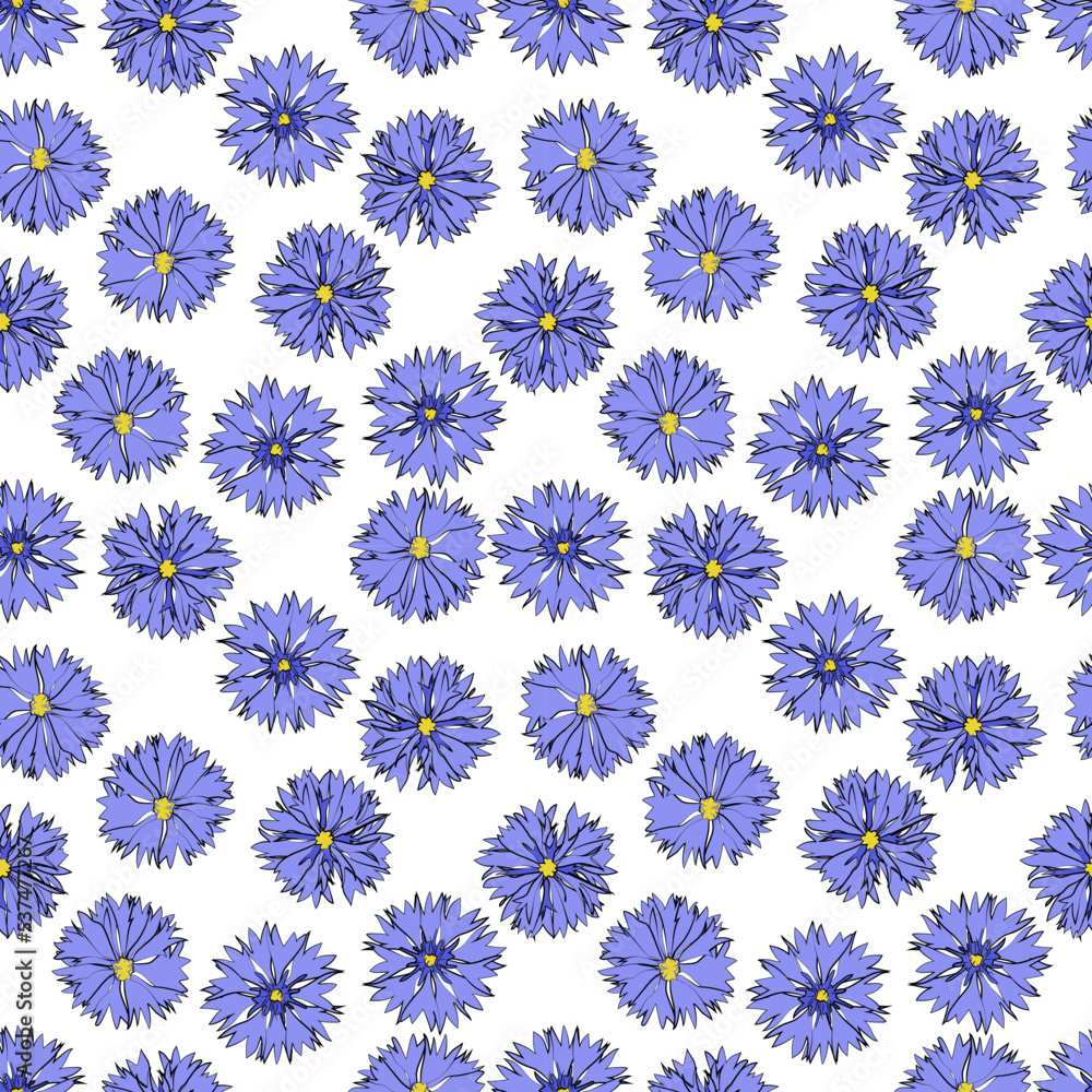 A set of seamless background with cornflowers. Vector graphics, 1000x1000. A set of seamless background with cornflowers. Vector graphics, 1000x1000.