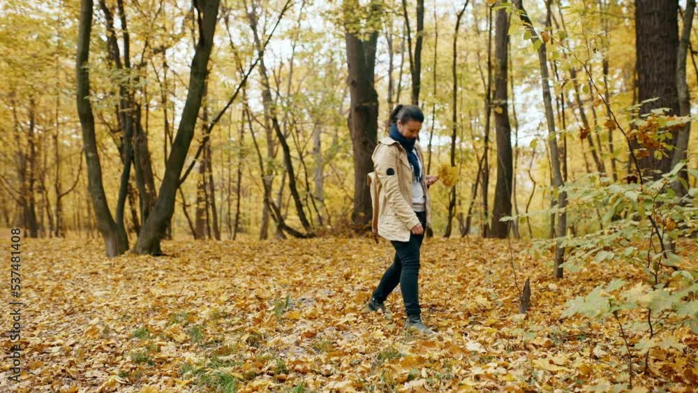 woman collects fallen yellow leaves in the autumn park woman collects fallen yellow leaves in the autumn park