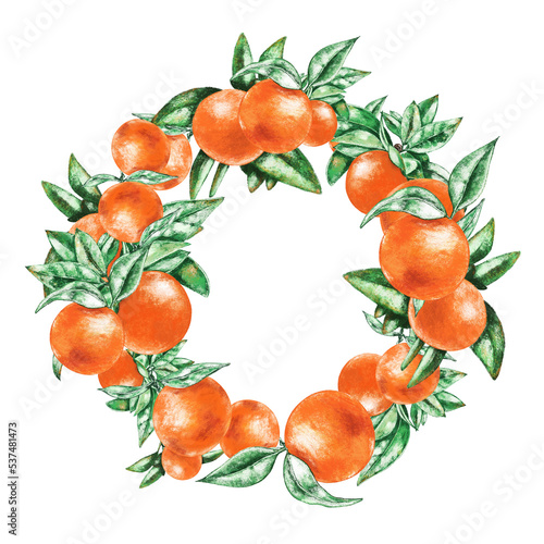 Fototapeta Naklejka Na Ścianę i Meble -  Wreath of hand drawn oranges isolated on transparent background.