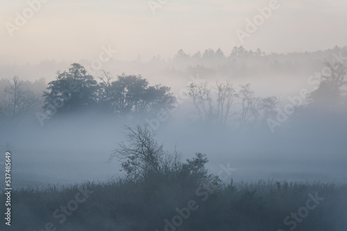 MISTY LANDSCAPE - Autumn morning in the river valley 