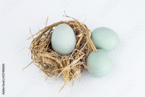 Duck eggs are in the hay nest and on white background