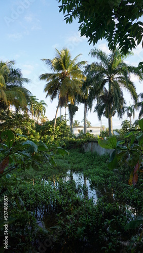 flooding after a heavy rain shower in Las Terrenas in the province of the Samana Peninsula in the Dominican Republic in the month of February 2022