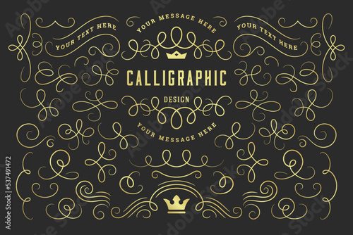 Calligraphic design elements vintage ornaments swirls and scrolls