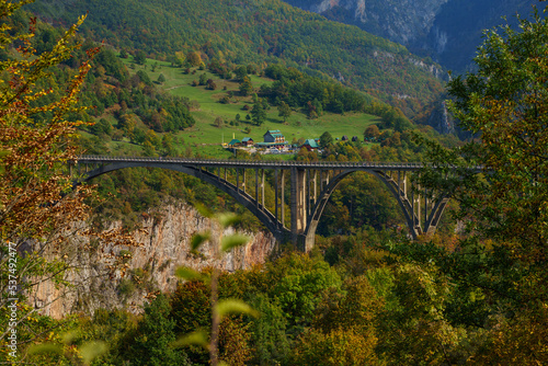 bridge over the mountain river