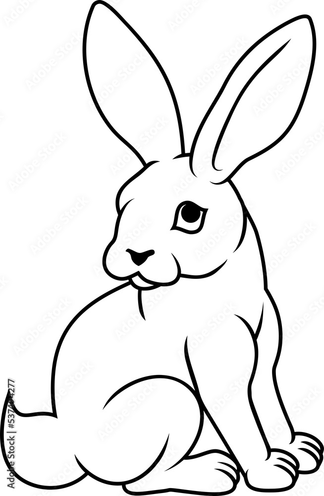 Fototapeta premium Rabbit Chinese Zodiac Horoscope Animal Year Sign
