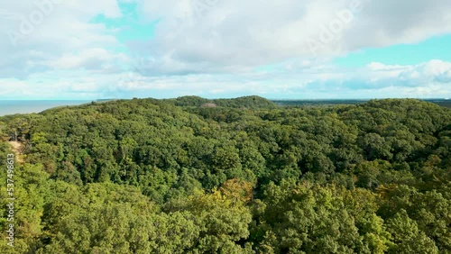 Hoffmaster State Park. Light breeze pushing through the leaves. photo