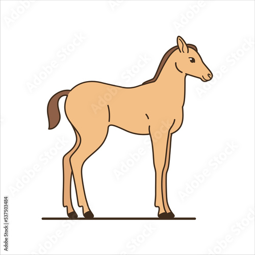 Cute young colt. Detailed drawing of animal. Contour vector illustration of horse.