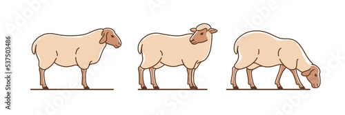 Cartoon sheep flat icon. Сute animals set of icons.