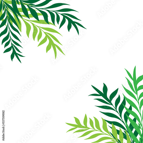 bamboo leaves background