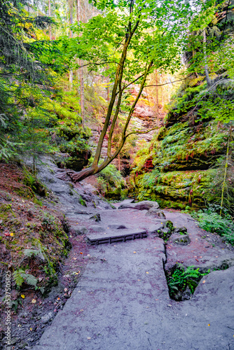 Cover page with magical enchanted fairytale forest with fern, moss, lichen and sandstone rocks at the hiking trail Swedish Holes in the national park Saxon Switzerland near Dresden, Saxony, Germany.