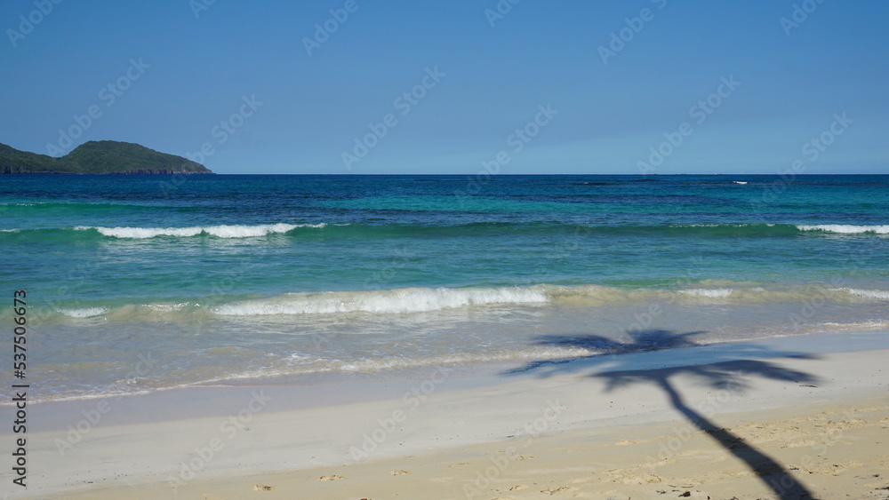 Obraz premium a shadow of a palm tree on the beautiful Playa Rincon in the province of the Samana Peninsula in the Dominican Republic in the month of January 2022