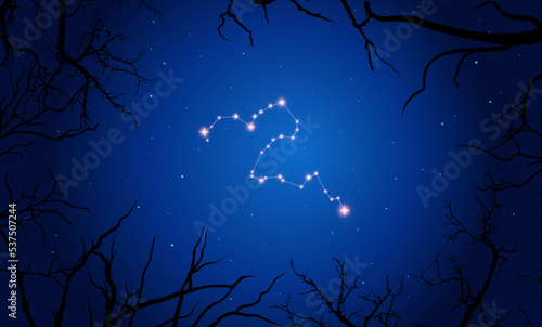   onstellation of Eridanus. Stars on the blue night sky with silhouette of tree. Constellation scheme collection. Vector illustration