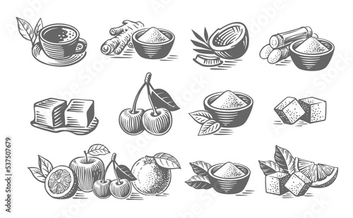 Fruit and sugar. Set of matcha tea with spices sketch