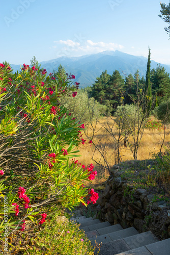 Obraz na płótnie View of a flowers, stairs, mountains and beautiful landscape in the Pyrenees, France w salonie