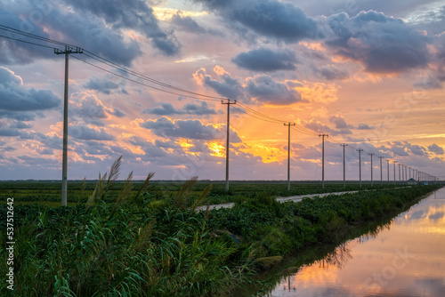 Canvas Print electricity poles under clouds in sunrise