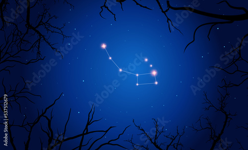   onstellation of Ursa minor. Stars on the blue night sky with silhouette of tree. Constellation scheme collection. Vector illustration