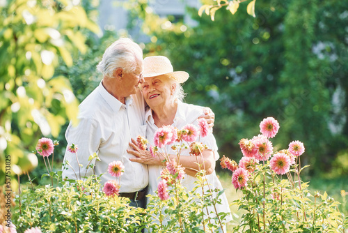 Pink colored flowers is growing. Lovely senior couple is in the garden together